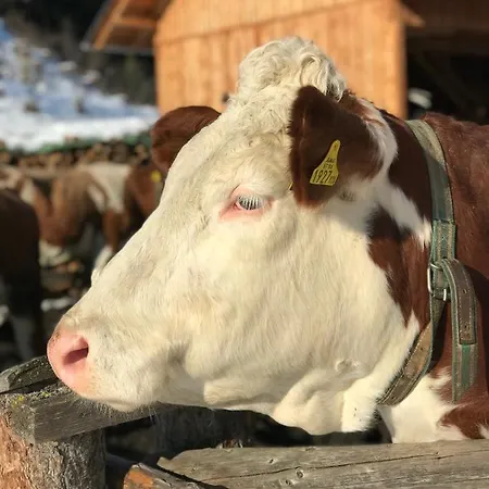 Sagmeister Wirtgut St. Andrae