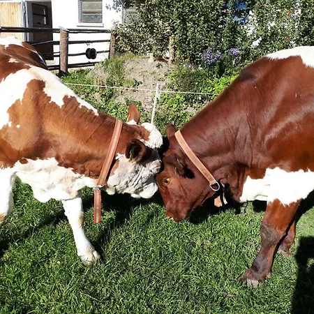 Sagmeister Wirtgut St. Andrae Vakantieboerderij