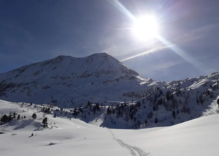 Sagmeister Wirtgut St. Andrae Gospodarstwo agroturystyczne Sankt Andrä im Lungau
